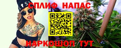 СК Будённовск