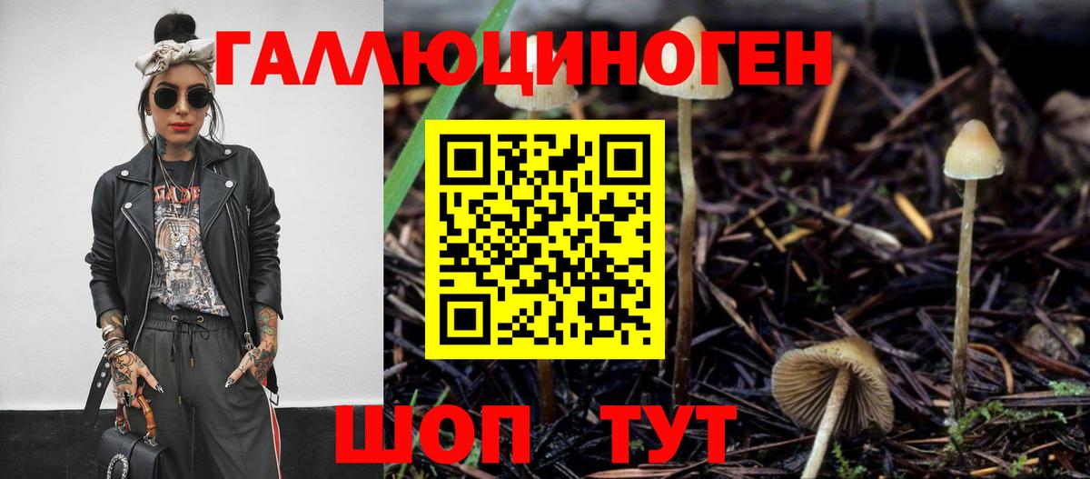 Псилоцибиновые грибы прущие грибы Протвино