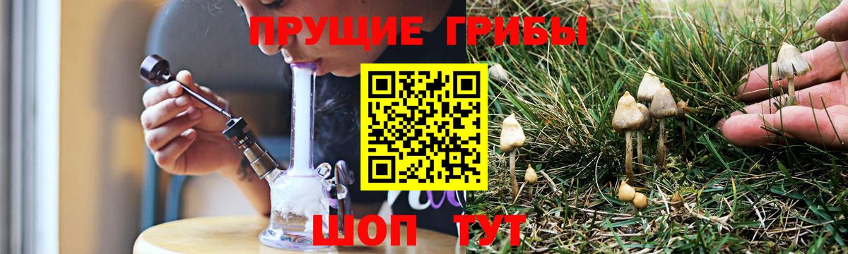 Галлюциногенные грибы Magic Shrooms  Вход с VPN  Протвино  Псилоцибиновые грибы ЛСД 